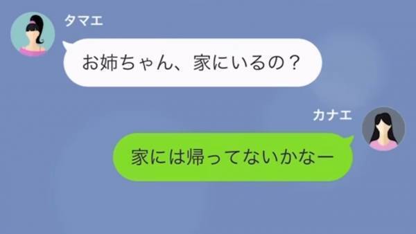 妹が乗っ取った『姉の結婚式』は中止…全ては妹が原因なのに「式を台無しにされた！」責任転嫁ばかり！？＜結婚式を乗っ取ろうとした妹の末路＞