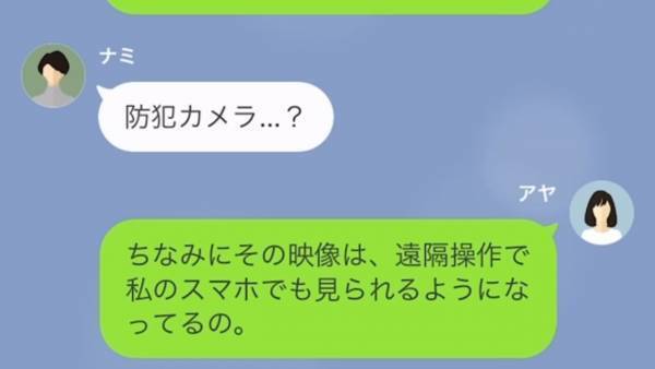 ママ友の家で窃盗するセコママ「手に入れたお金で旅行に行こうね、ダーリン！」→しかしそれは、セコママを撃退するための罠だった…！？