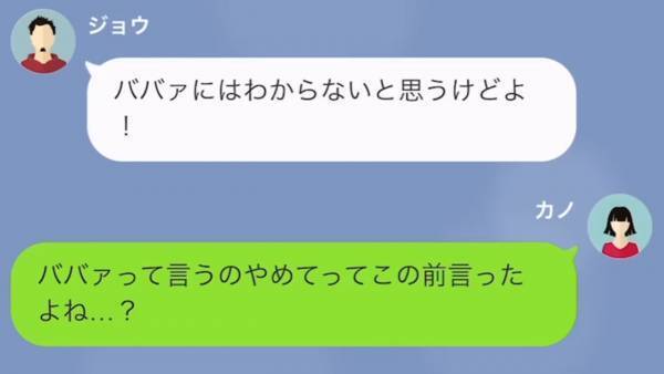 母のことを『ババア』呼ばわり！？「父さんのお金で生活してるくせに！」→母を家政婦扱いする”夫の連れ子”に、家を追い出された結果…w