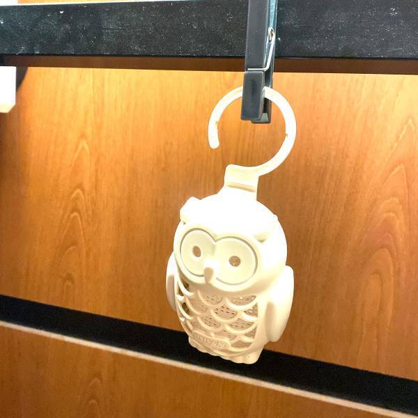 「え♡すごくかわいんですけど」バズリ中！【ダイソー】“バルくん虫よけふくろう”