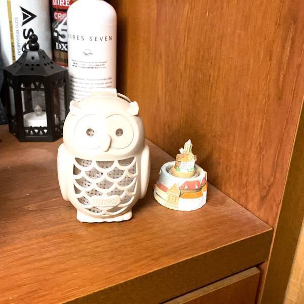 「え♡すごくかわいんですけど」バズリ中！【ダイソー】“バルくん虫よけふくろう”