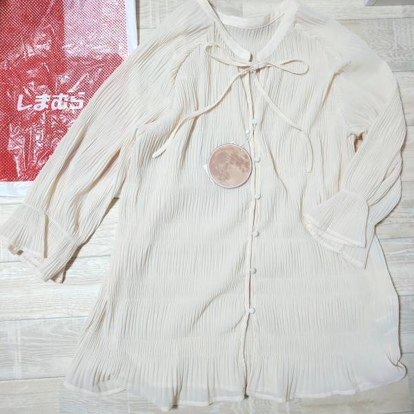 「ふわふわ」な「シフォン素材」がかわいい♡【しまむら】“プリーツブラウス”特集