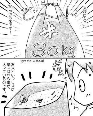 【嫁を困らせた30kgの米】義両親から届く米の仕送り。しかし中身を見ると…”入っていたモノ”にギョッとした。