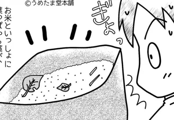 【嫁を困らせた30kgの米】義両親から届く米の仕送り。しかし中身を見ると…”入っていたモノ”にギョッとした。