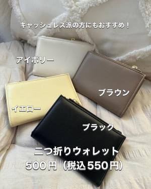 「かさばらなくて優秀◎」「絶対人気になりますね」【3COINS】かなりコンパクト！”二つ折りウォレット”に注目