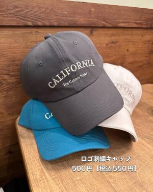 《プチプラの域、超えてる！》【3COINS】デザインが最高なんよ♡「ファッション小物」