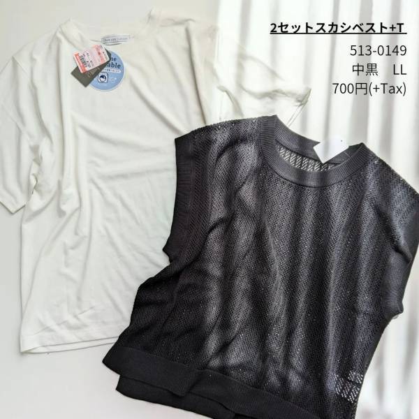 「挑戦しやすーい」「1枚で着ても可愛い」！！【しまむら】「超プチプラ」”モノトーントップス”3選