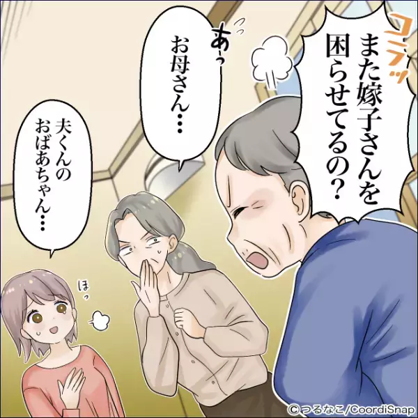 ＜義祖母よ、ありがとう！＞嫁の金で『高額家電購入を目論む』義母。しかし義祖母の”痛快な暴露話”で義母が大焦り！！
