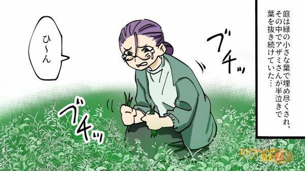 【近所の家が雑草だらけ！？】花泥棒が狙った”鉢植え”にはトラップが…⇒「ひ～ん」近所の奥さんの家で『衝撃の真実』が発覚…