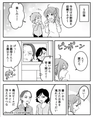 義母「暑いから早く開けて！」私「なんでここに！？」→渋々招き入れた後日、義母の”本当の目的”を知り夫が大激怒！！