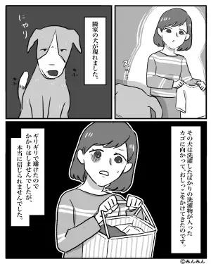 【隣人の様子が…おかしい？】隣人宅の犬が『洗濯物にいたずら』を仕掛けた！？ふと隣を見ると…窓に映る”隣人の表情”に鳥肌！