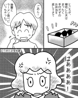夫「おにぎりとか作ってほしい！」要望に応えて準備をするも…→夫が明かした”酷すぎる裏切り”で弁当終了宣言！！