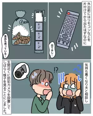 【この家に…誰か入った？】帰宅すると『リビングの様子』に違和感が。防犯カメラを見ると…そこに”映ったモノ”に鳥肌！！