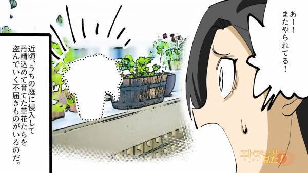 【花泥棒に報復を…？】鉢に『ひと工夫』して犯人を追いつめる！⇒後日、近所の”噂”で正体が判明…