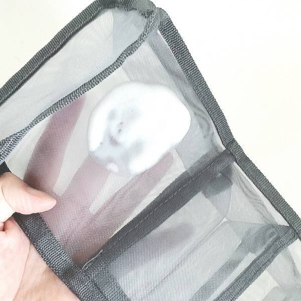 ついに新色加えて再入荷！【ダイソー】長らく品切れだった”優秀バッグインバッグ”をゲット！