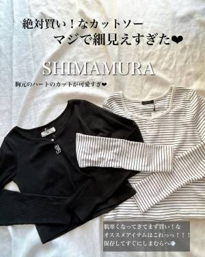 「1089円」は「絶対買い」「2色買うよ」【しまむら】「マジで細見え」”優秀トップス”を発見