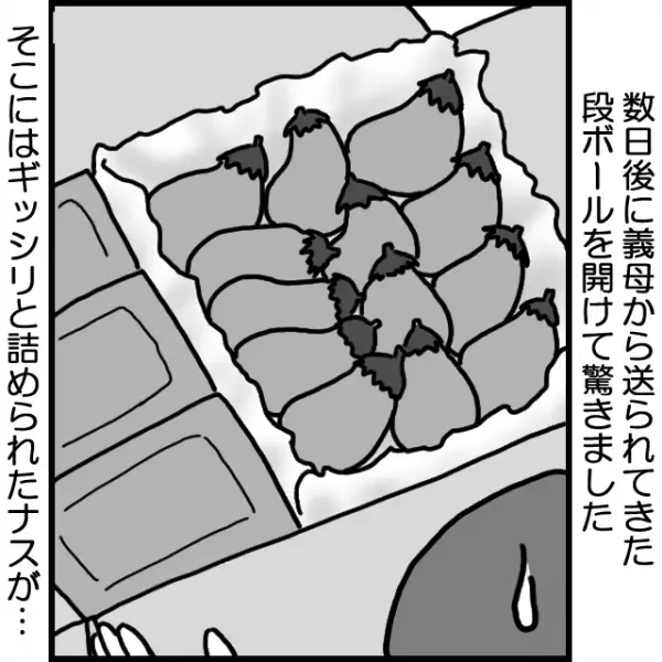 【義母から謎の段ボール…】いつもやさしい義母から贈り物！→箱を開けると私「エッ…」義母からの”意外な贈り物”に顔面蒼白！