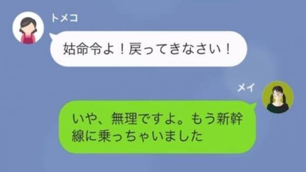 食事会で大惨事…義母「今どこ？戻ってきて弁償して」嫁「いや、無理ですよ」⇒嫁が【駆けつけられない理由】に…義母「へ？」