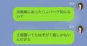 夫「ハンバーグ捨てたから」妻「え？あれは…」⇒直後、妻が言った『ハンバーグの裏事情』を聞き…夫「へ？」