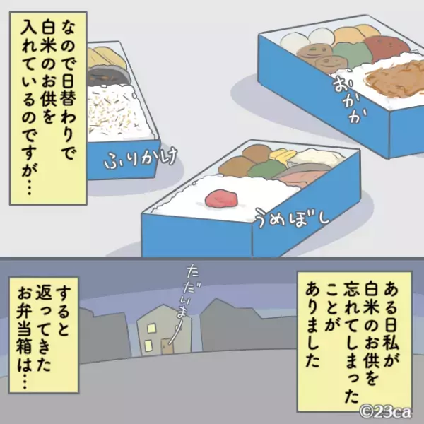 お弁当は”白米だけ”だと食べない夫。だが…”お供”を入れ忘れた！？⇒帰宅後『お弁当箱の中身』を見てうんざり…