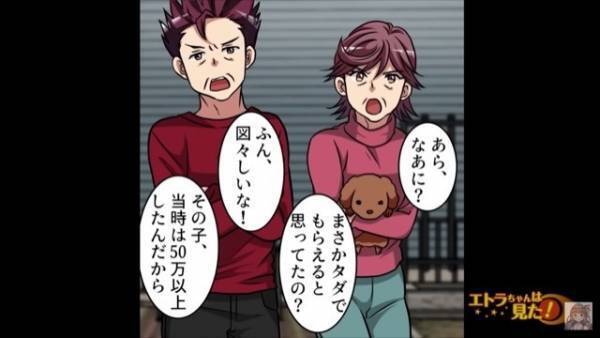 捨て犬を保護すると…飼い主「50万円払え！」男性「…わかりました」まさかの承諾！？⇒だが、男性は『とんでもない秘策』を用意していた…