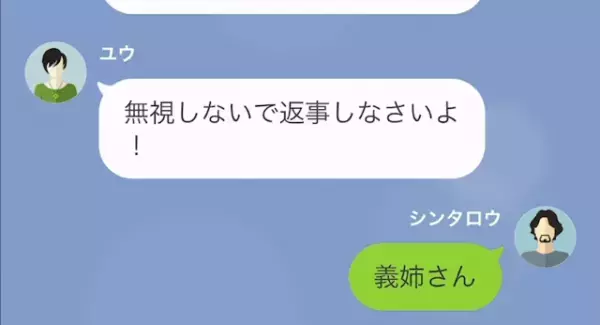 義姉「フィギュア壊されたくらいでキレんなよw」夫「200万もするのに…」だが次の瞬間…⇒義姉に【悲惨な結末】が！？