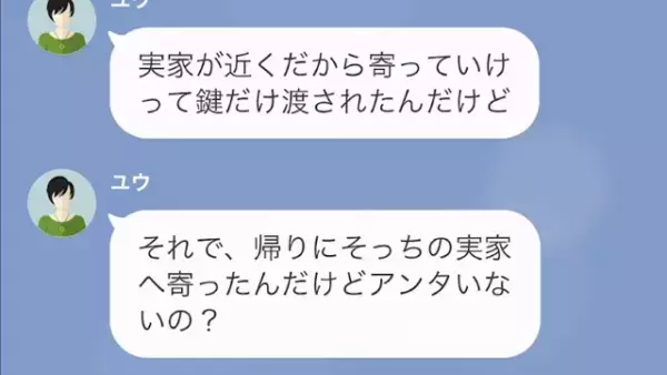 義姉「フィギュア壊されたくらいでキレんなよw」夫「200万もするのに…」だが次の瞬間…⇒義姉に【悲惨な結末】が！？