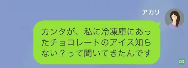 私「ハンバーグ勝手に食べたでしょ！」家事代行の女「あれゴミでしょ…？」だが次の瞬間⇒食材泥棒の女に【天罰】が下る…！