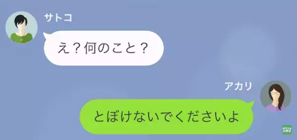 私「ハンバーグ勝手に食べたでしょ！」家事代行の女「あれゴミでしょ…？」だが次の瞬間⇒食材泥棒の女に【天罰】が下る…！