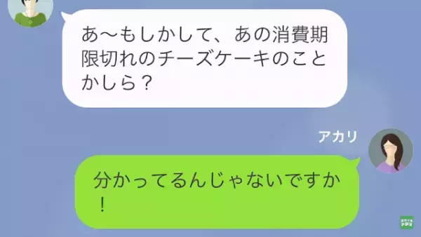 私「ハンバーグ勝手に食べたでしょ！」家事代行の女「あれゴミでしょ…？」だが次の瞬間⇒食材泥棒の女に【天罰】が下る…！