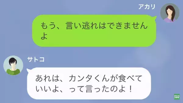 妻「冷蔵庫の”ハンバーグ”食べました？」家事代行「あなたの息子がいいって…」だが次の瞬間⇒「お腹が痛い…」衝撃的な真相が…？