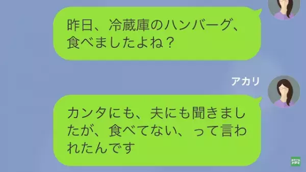 妻「冷蔵庫の”ハンバーグ”食べました？」家事代行「あなたの息子がいいって…」だが次の瞬間⇒「お腹が痛い…」衝撃的な真相が…？