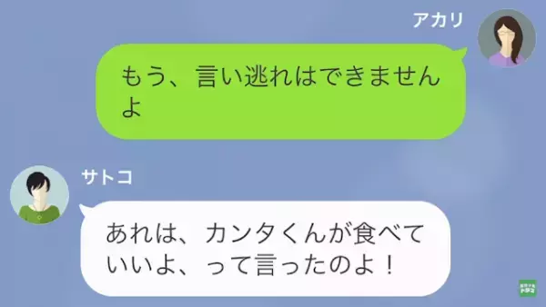 妻「冷蔵庫のハンバーグ食べました？」家事代行「あれは…」→この直後”まさかの発言”に…妻「え？」