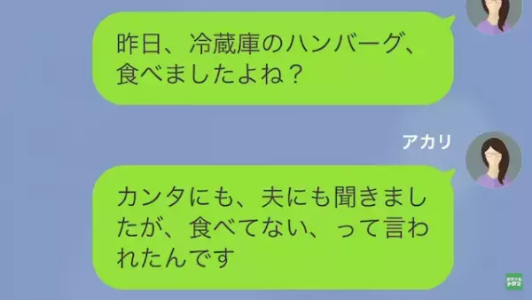妻「冷蔵庫のハンバーグ食べました？」家事代行「あれは…」→この直後”まさかの発言”に…妻「え？」