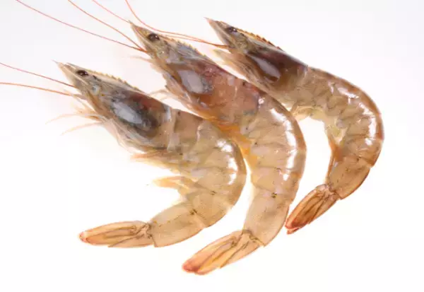 『海老アレルギーの姉』が倒れた！？妹「どうして！？」姉「いやぁ、実はね…」⇒直後、姉が明かした【その原因】に…妹「し、信じられない！」