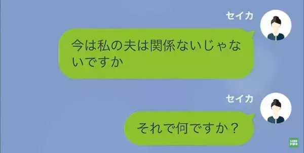 ママ友会後…ママ友「あなたまたお会計誤魔化したでしょ！」私「そんなことしてません！」その後…→【まさかの反撃方法】にママ友「この人でなし！」