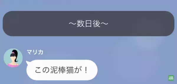 兄の婚約者「恥を知れ！泥棒猫！」妹「は…？」だが次の瞬間⇒ある【勘違い】が…地獄の結末に！？
