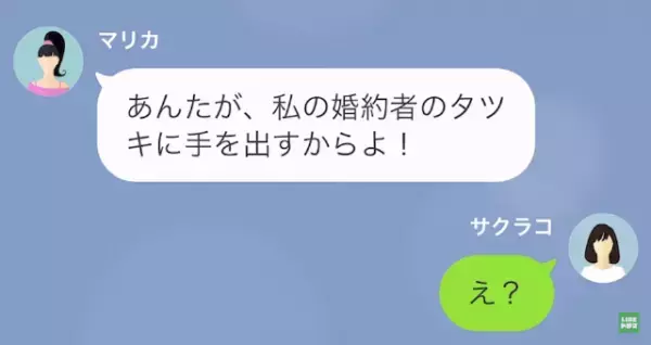 兄の婚約者「恥を知れ！泥棒猫！」妹「は…？」だが次の瞬間⇒ある【勘違い】が…地獄の結末に！？