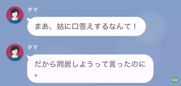 別の女と結婚させたがる義母「息子と離婚して！」嫁「分かりました…」だが次の瞬間⇒「再婚した…？」元嫁の”罠”とは…！？