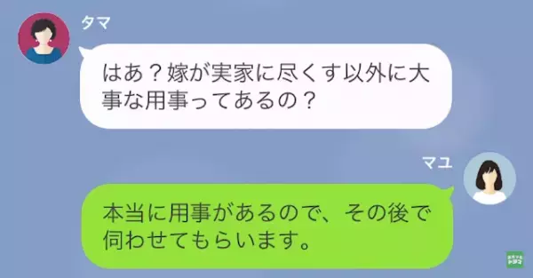 義母「あなたの”実家はない”と思いなさい！」嫁「分かりました…」だが次の瞬間⇒夫の協力で…義母に【天罰】が！？