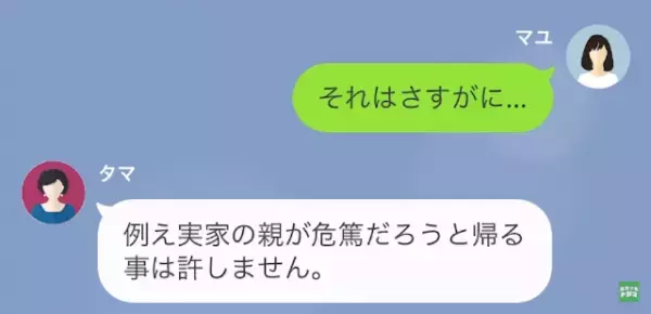 義母「嫁のしきたり守れないなら、息子と離婚させます」嫁「…分かりました」だが次の瞬間⇒「再婚…？」元嫁の”巧妙な罠”が…？