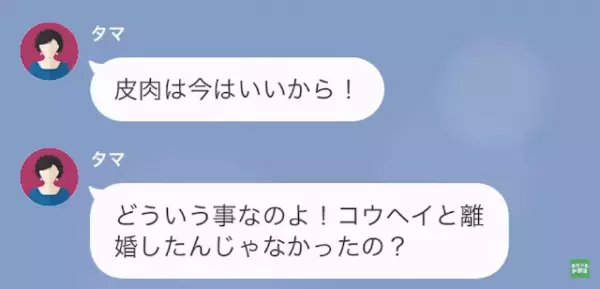 別の女と結婚させたがる義母…元嫁「実は私…夫と“再婚”しました」義母「へ？」だが次の瞬間⇒元嫁が仕掛けた【巧妙な罠】に驚愕！？