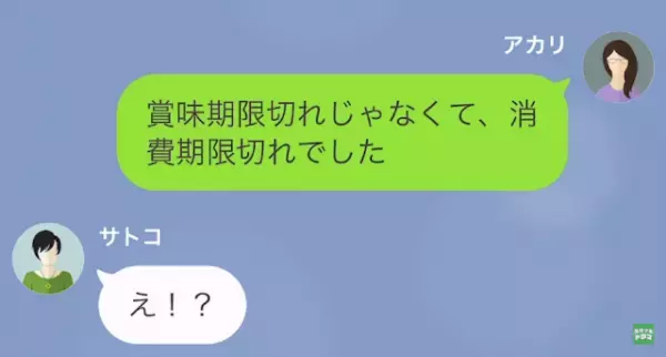 妻「冷蔵庫のハンバーグ食べました？」家事代行業者「食べていいって…」→この直後”ハンバーグ”が原因でまさかの事態に…！？