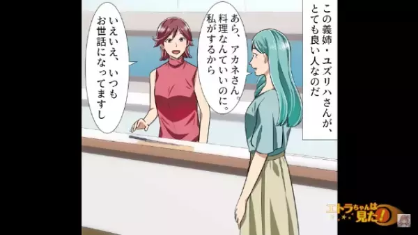 子どもの面倒をみてくれる優しい義姉。しかし…義姉「娘ちゃんくれない？」私「え？」次の瞬間⇒【義姉の計画】に驚愕…！？