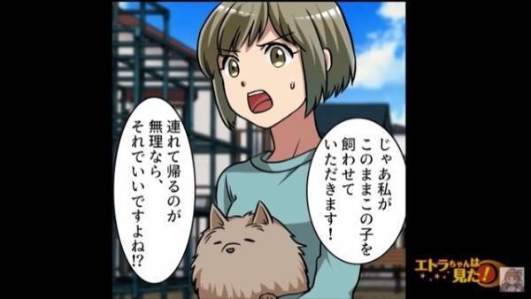 迷子の犬を保護すると…飼い主「50万円よこせ！」私「え？」⇒直後、飼い主が放った【請求のワケ】に…私「本気で？」