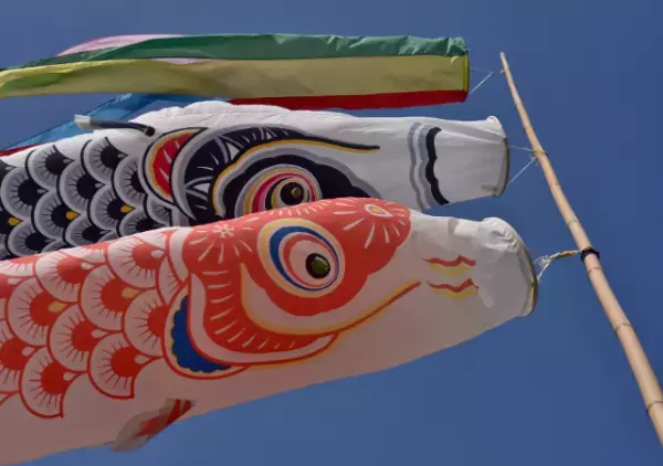 『15万円の鯉のぼり』を飾った翌日…「えっ嘘でしょ！？」”予想外の光景”に一同驚愕！