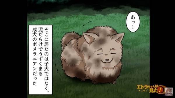 捨て犬を保護すると…飼い主「50万円でいいわ」私「…え？」まさかの高額請求！？だが⇒「…分かりました」