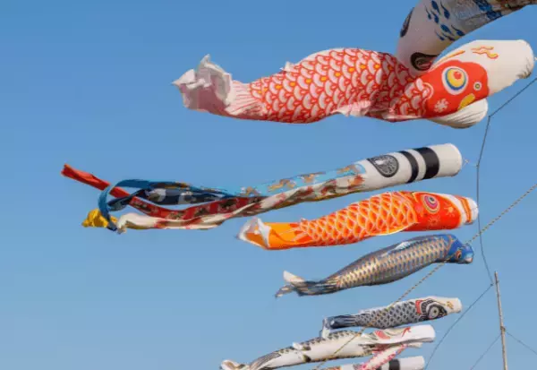 『15万円の鯉のぼり』を購入したら…→次の日「…えっ！？」”まさかの光景”に驚愕！