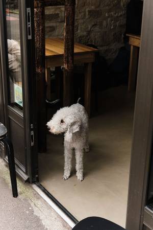 カフェとともにパリを知る-地域とともに歩むカフェ　Mardi編