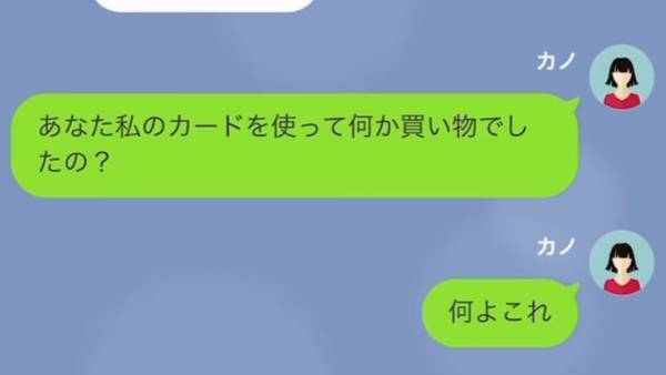 母のクレカを勝手に使う息子…請求金額は”50万”！？息子「このくらい許せよ（笑）」しかし…⇒「無職…？」まさかの展開に！？